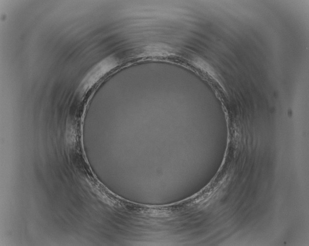 X0000063460874200601271602