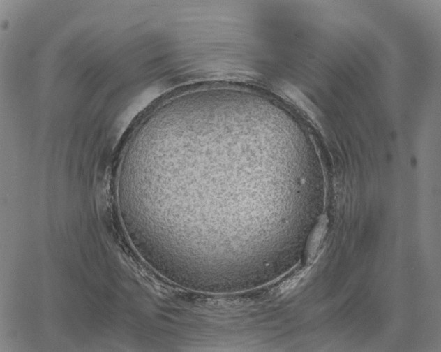 X0000063460875200601271601