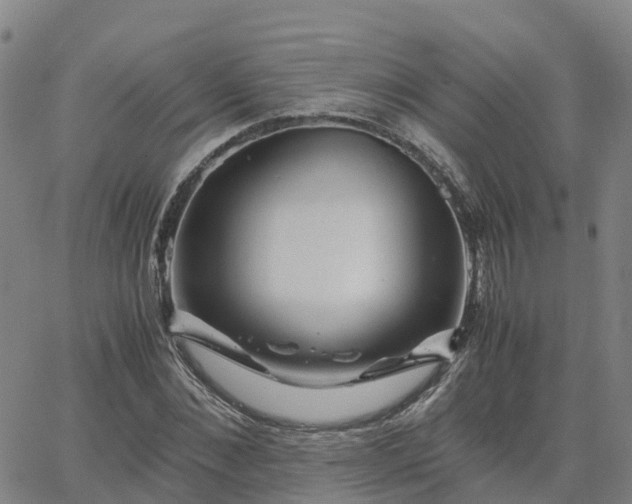 X0000063460876200601271601