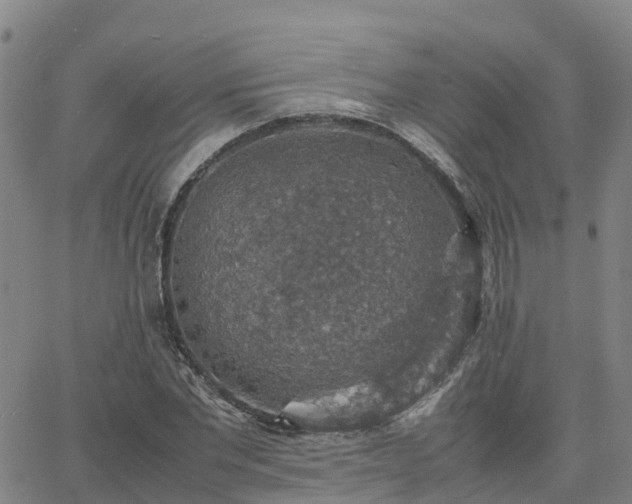 X0000063460877200601271601