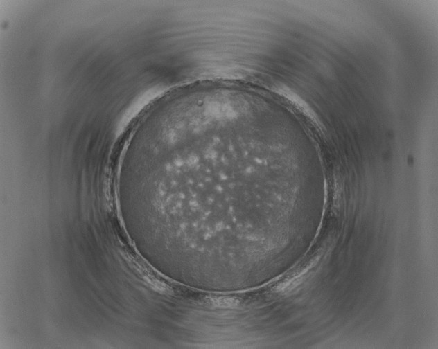 X0000063460878200601271601