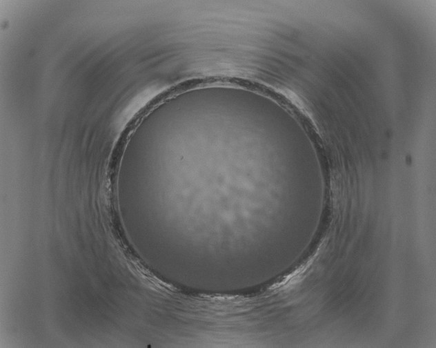 X0000063460879200601271601