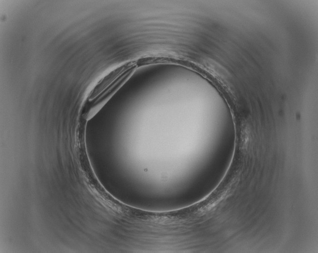 X0000063460880200601271601