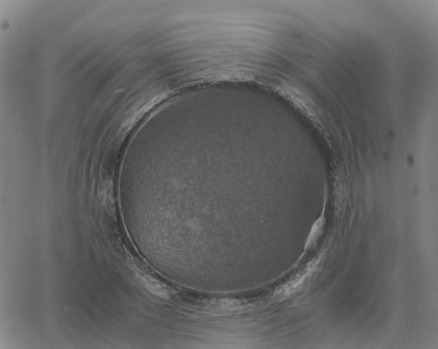 X0000063460881200601271601