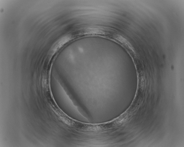 X0000063460882200601271601