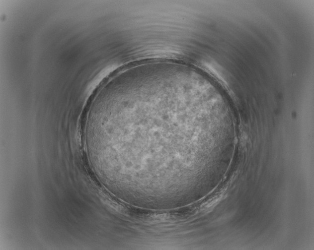 X0000063460883200601271601