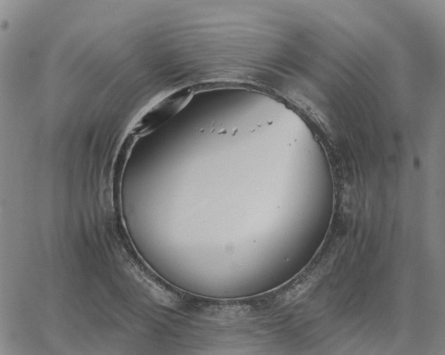 X0000063460884200601271601