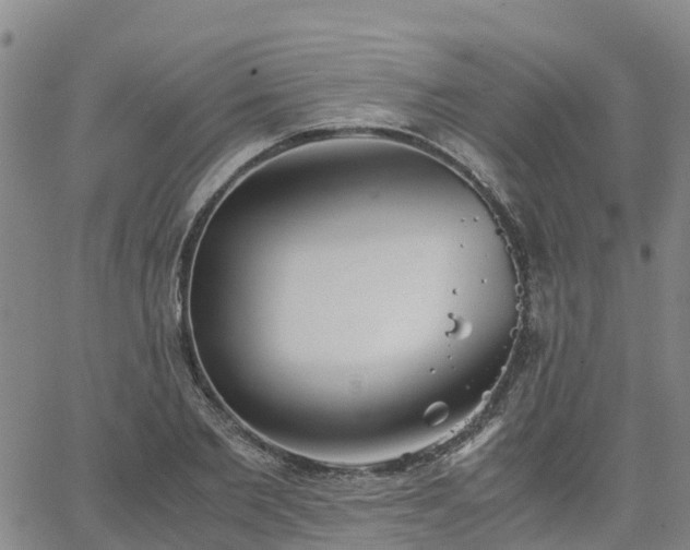 X0000063460885200601271601