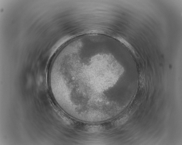 X0000063460886200601271601