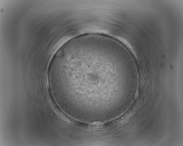 X0000063460887200601271601