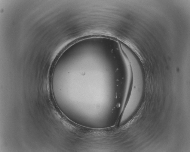 X0000063460888200601271601