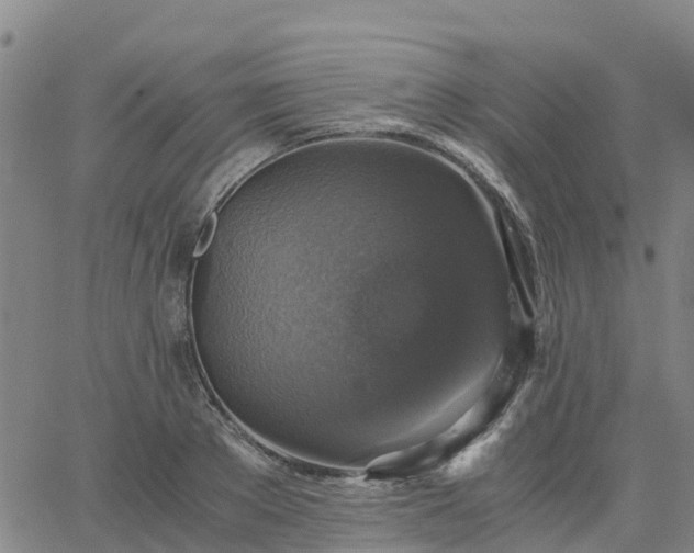 X0000063460889200601271601