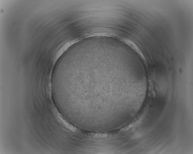 X0000063460890200601271601