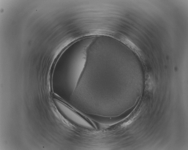 X0000063460892200601271601