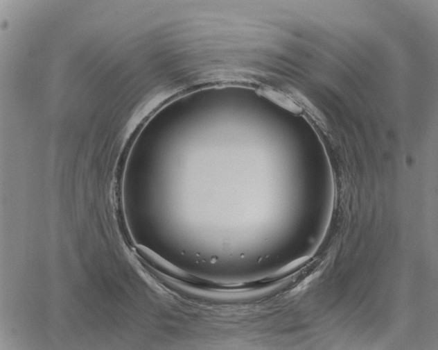 X0000063460893200601271601