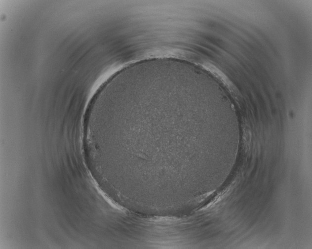 X0000063460894200601271601