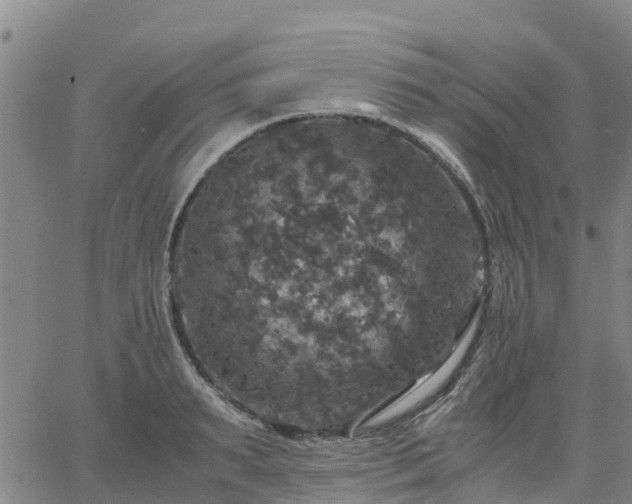 X0000063460895200601271601