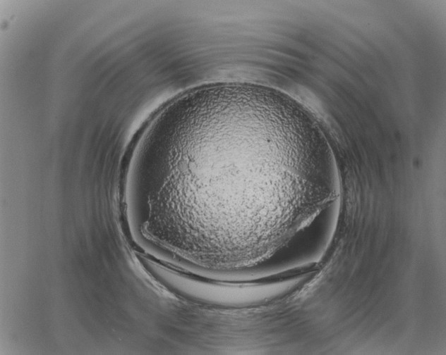 X0000063460896200601271601