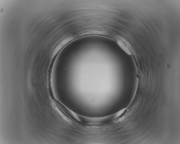 X0000063460898200601271601