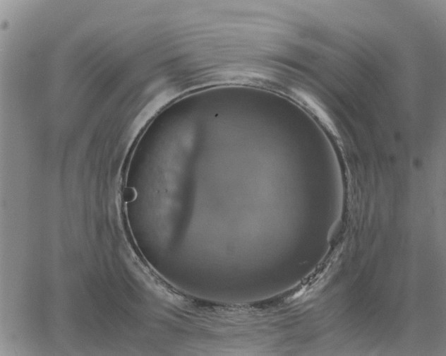 X0000063460899200601271601