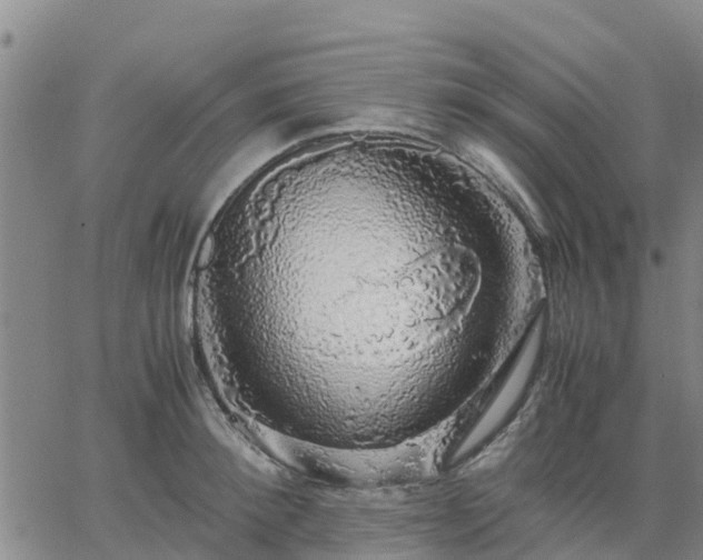 X0000063460900200601271601