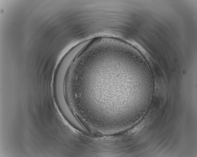 X0000063460902200601271601