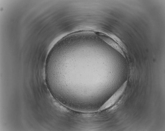 X0000063460904200601271601