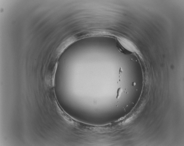 X0000063460905200601271601