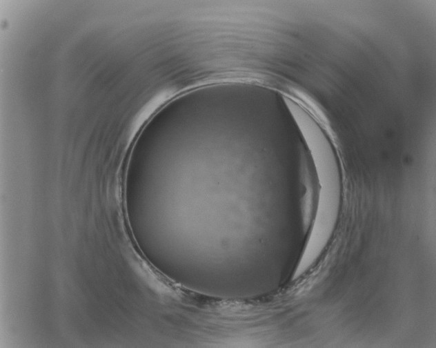 X0000063460907200601271601