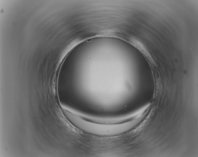 X0000063460908200601271601