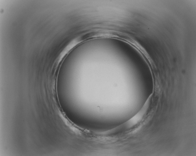 X0000063460909200601271601