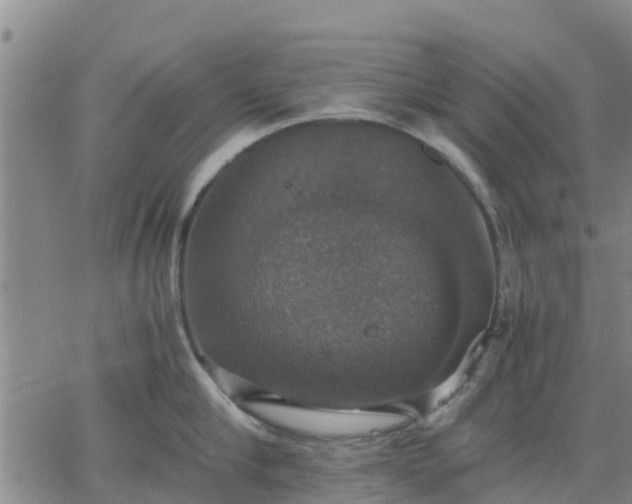 X0000063460910200601271601