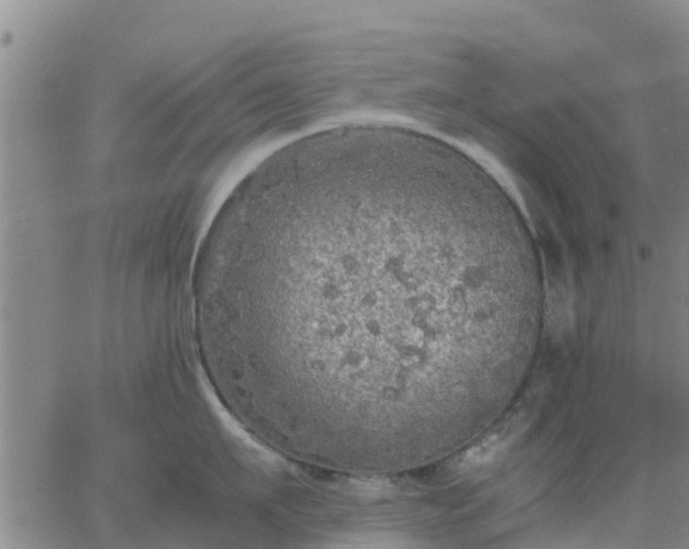 X0000063460911200601271601