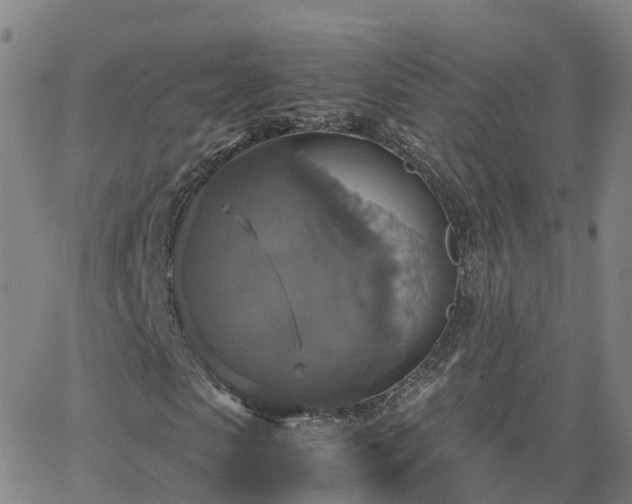 X0000063460913200601271600