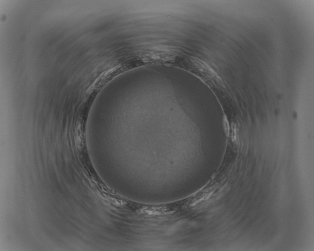 X0000063460915200601271600