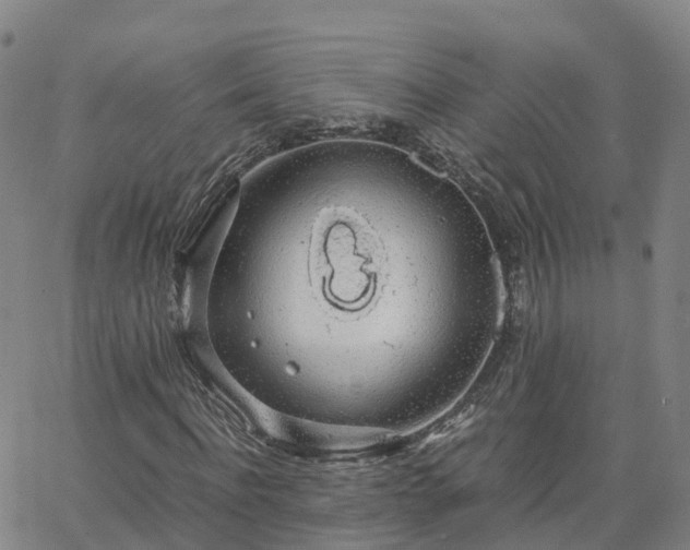 X0000063460916200601271600