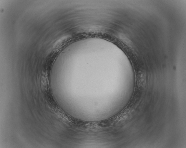 X0000063460918200601271600