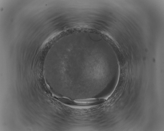 X0000063460919200601271600