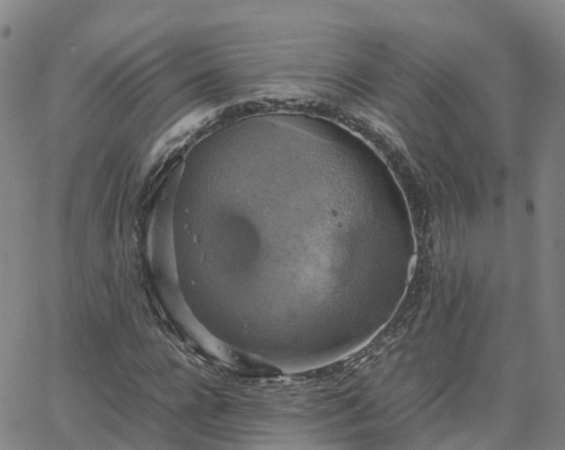 X0000063460920200601271600