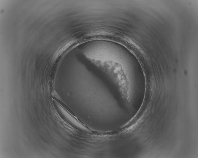 X0000063460921200601271600