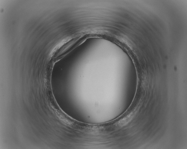 X0000063460922200601271600