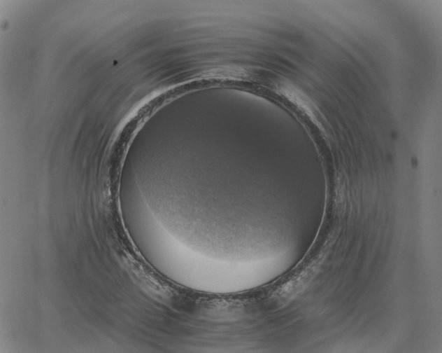 X0000063460923200601271600