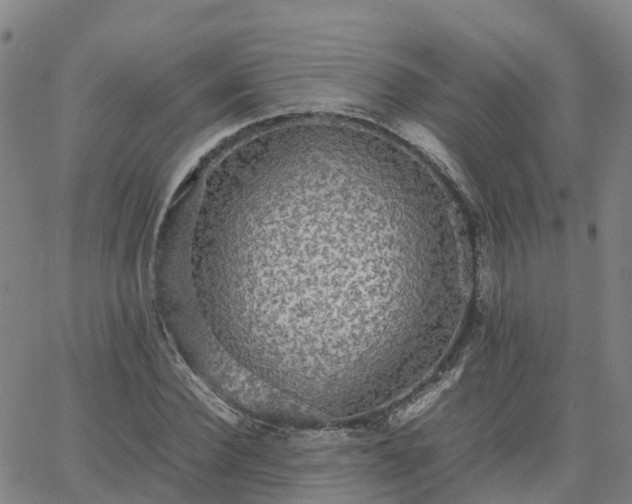 X0000063460924200601271600