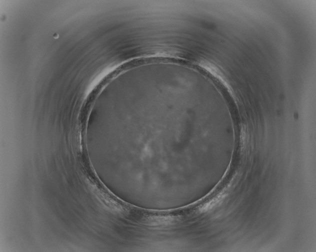 X0000063460925200601271600