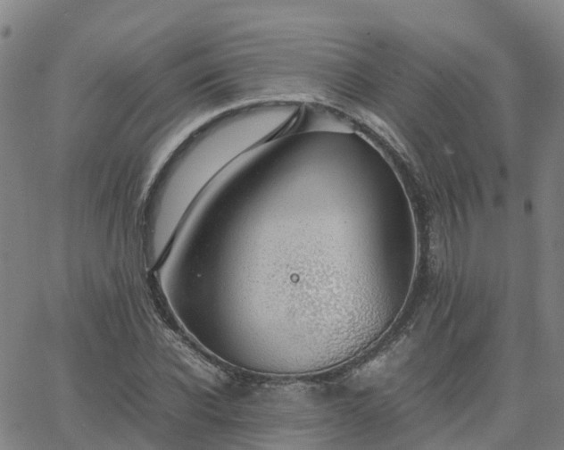 X0000063460926200601271600