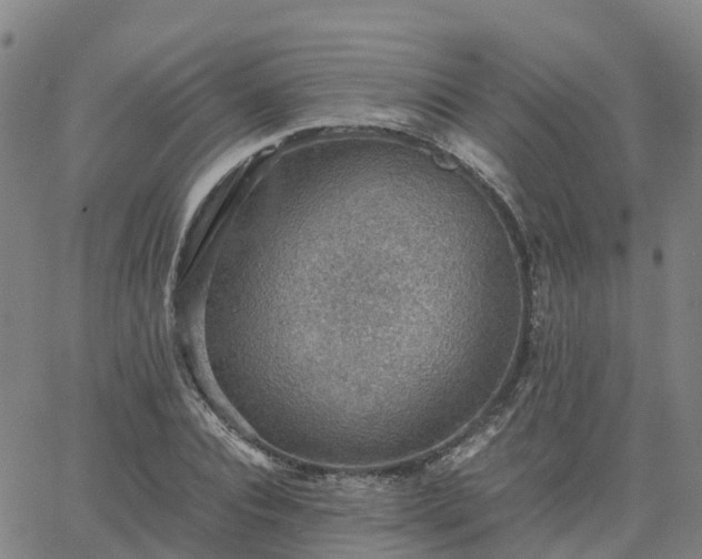 X0000063460928200601271600