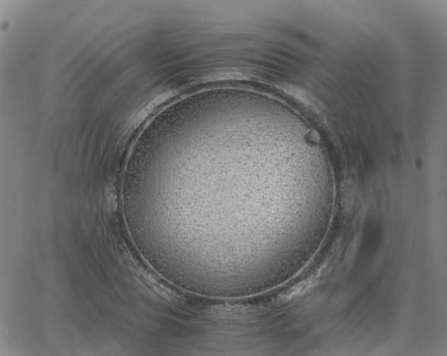 X0000063460929200601271600