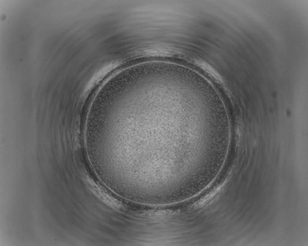 X0000063460930200601271600