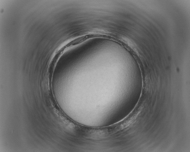 X0000063460931200601271600