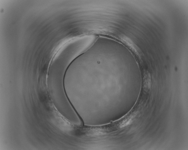 X0000063460932200601271600